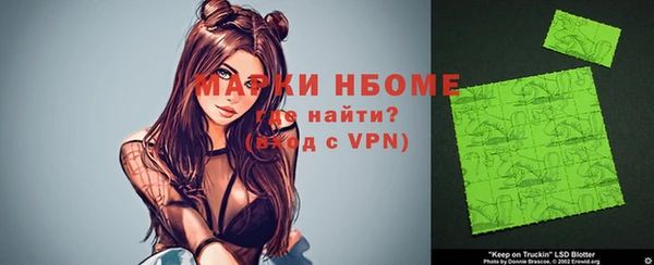 индика Богородск