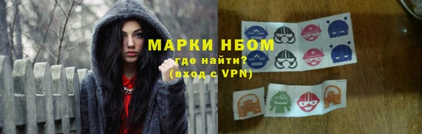 индика Богородск