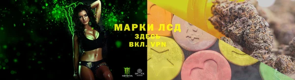 индика Богородск