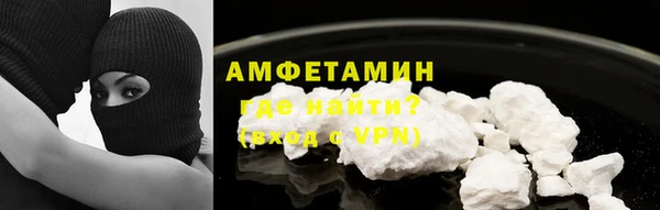 индика Богородск