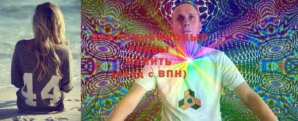 индика Богородск